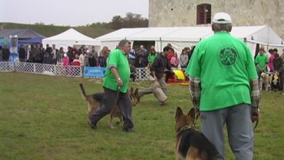 Kliknite da vidite sliku u punoj veličini