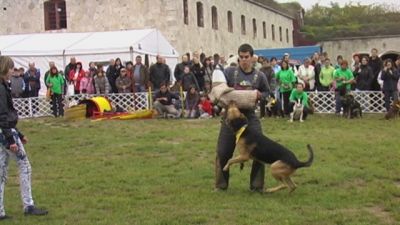 Kliknite da vidite sliku u punoj veličini