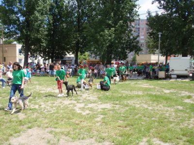 Kliknite da vidite sliku u punoj veličini
