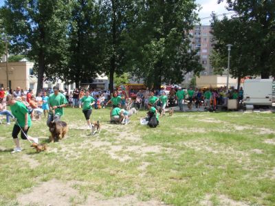 A teljes méretű képhez kattints ide