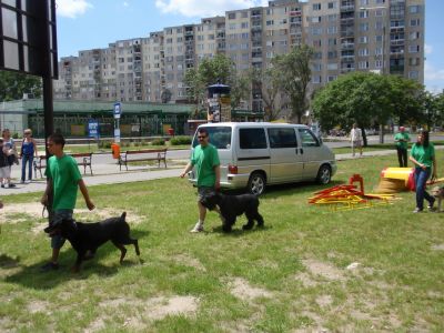 Натисніть, щоб побачити повний розмір