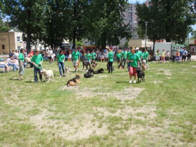 Premi per vedere l'immagine alla massima grandezza