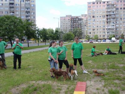 Натисніть, щоб побачити повний розмір