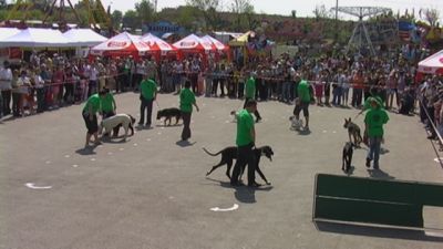 A teljes méretű képhez kattints ide