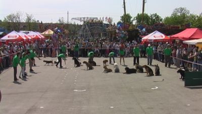 A teljes méretű képhez kattints ide