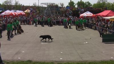 A teljes méretű képhez kattints ide