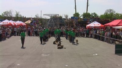 Kliknite da vidite sliku u punoj veličini