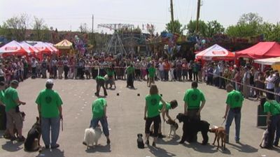 Натиснете за да видите снимката уголемена