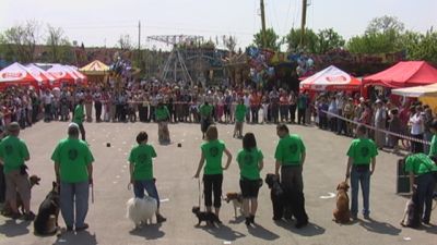Pulsa para ver la imagen a tamaño completo