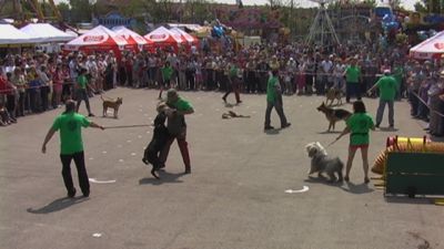 Pulsa para ver la imagen a tamaño completo