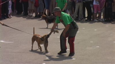 A teljes méretű képhez kattints ide