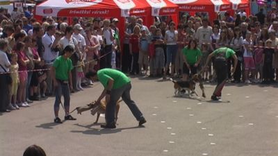 Kliknite da vidite sliku u punoj veličini