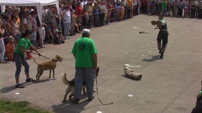 A teljes méretű képhez kattints ide