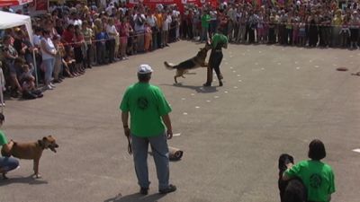 A teljes méretű képhez kattints ide