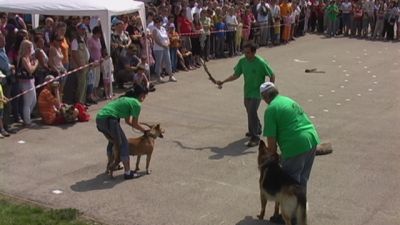 A teljes méretű képhez kattints ide