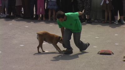 クリックでフルサイズのイメージを表示する