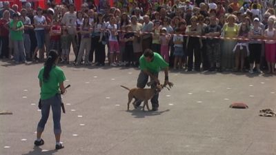 A teljes méretű képhez kattints ide