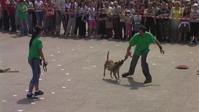 Premi per vedere l'immagine alla massima grandezza