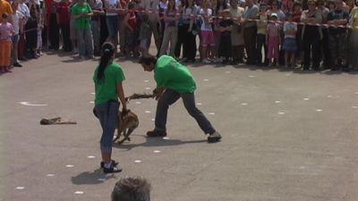 Click para ver la imagen a tamaño completo