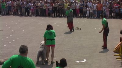 Kliknite da vidite sliku u punoj veličini