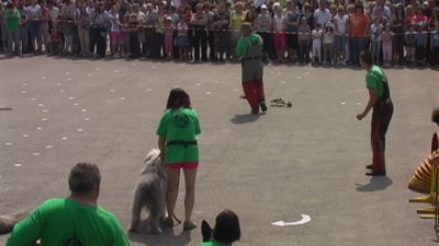 A teljes méretű képhez kattints ide