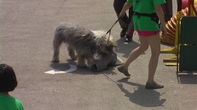 クリックでフルサイズのイメージを表示する