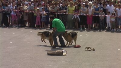 A teljes méretű képhez kattints ide