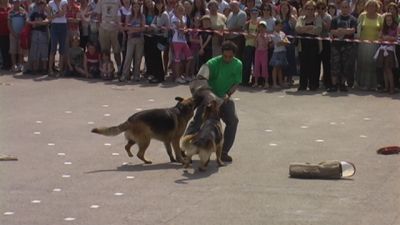 A teljes méretű képhez kattints ide