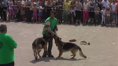 Premi per vedere l'immagine alla massima grandezza