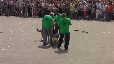 Натиснете за да видите снимката уголемена