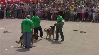 A teljes méretű képhez kattints ide