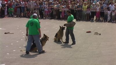 A teljes méretű képhez kattints ide