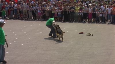 A teljes méretű képhez kattints ide