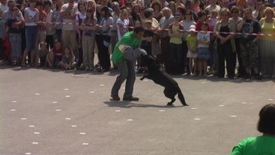 A teljes méretű képhez kattints ide