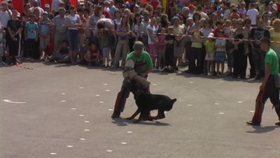 A teljes méretű képhez kattints ide