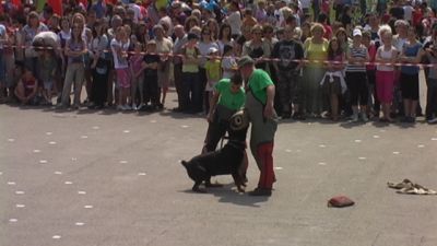 A teljes méretű képhez kattints ide