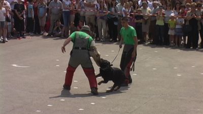 クリックでフルサイズのイメージを表示する