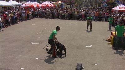 A teljes méretű képhez kattints ide