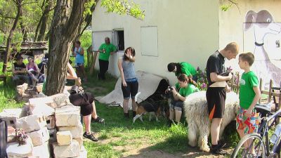 Klikni za ogled večje slike