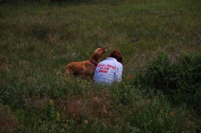 A teljes méretű képhez kattints ide