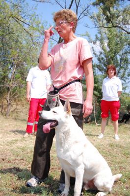 A teljes méretű képhez kattints ide