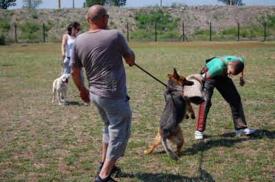 A teljes méretű képhez kattints ide