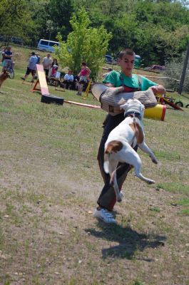 A teljes méretű képhez kattints ide