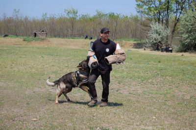 Натисніть, щоб побачити повний розмір