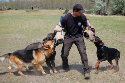 Натисніть, щоб побачити повний розмір