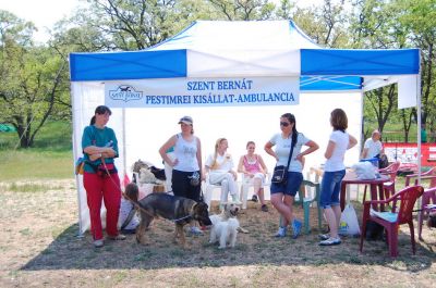 A teljes méretű képhez kattints ide