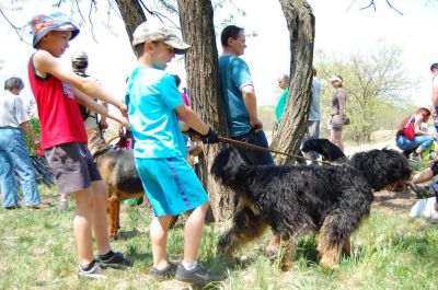 A teljes méretű képhez kattints ide