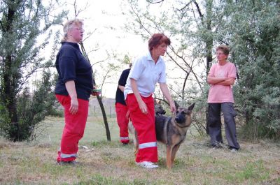 Klõpsa pildi vaatamiseks täissuuruses