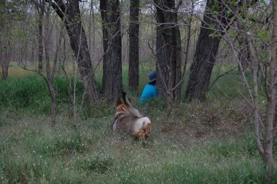 Κάντε κλικ για να δείτε την εικόνα σε πλήρες μέγεθος