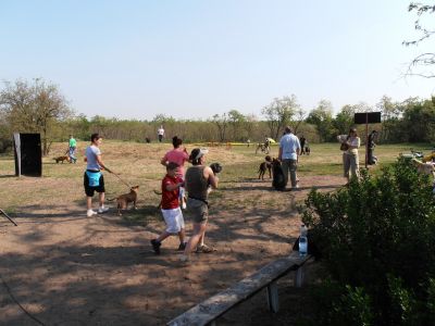 A teljes méretű képhez kattints ide